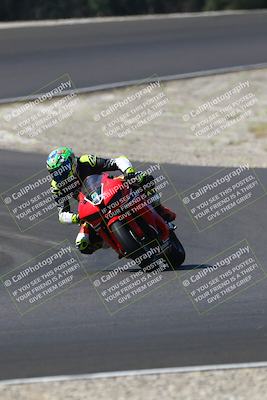 media/Sep-21-2025-TrackDaz (Sun) [[277c75b276]]/B Group/1120am (Turn 3)/
